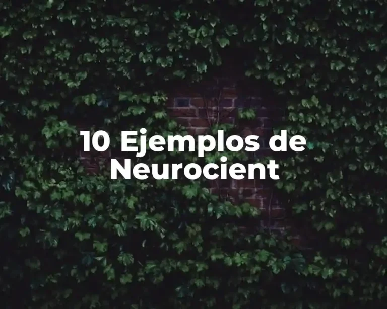 10 Ejemplos de Neurocient