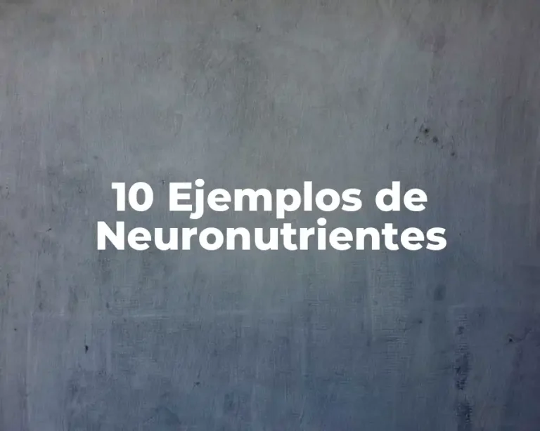 10 Ejemplos de Neuronutrientes