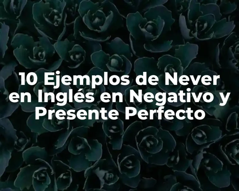 10 Ejemplos de Never en Inglés en Negativo y Presente Perfecto