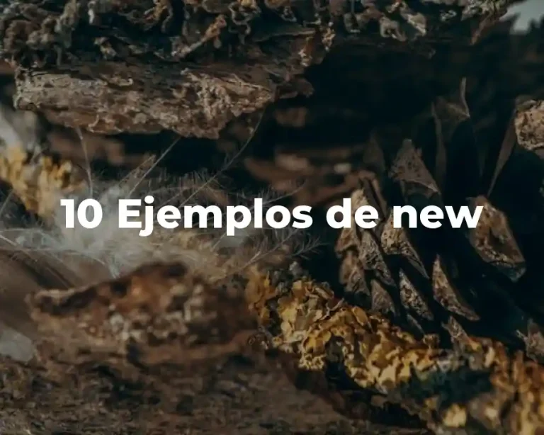 10 Ejemplos de new