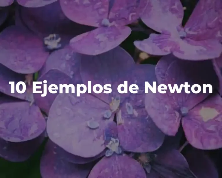 10 Ejemplos de Newton