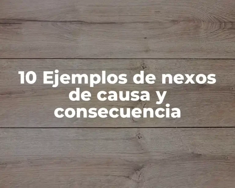 10 Ejemplos de nexos de causa y consecuencia