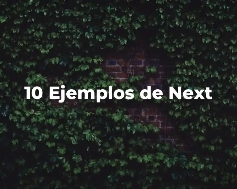 10 Ejemplos de Next