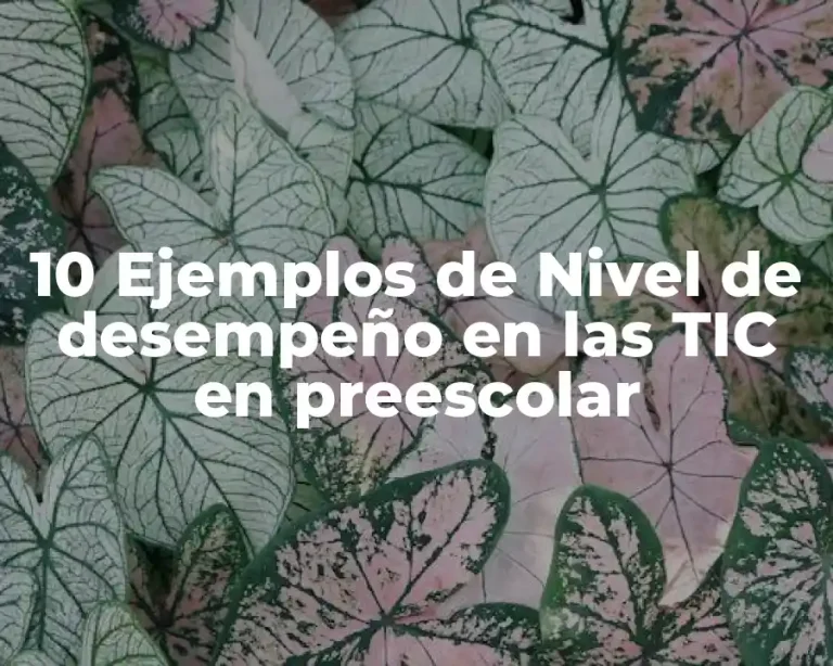 10 Ejemplos de Nivel de desempeño en las TIC en preescolar