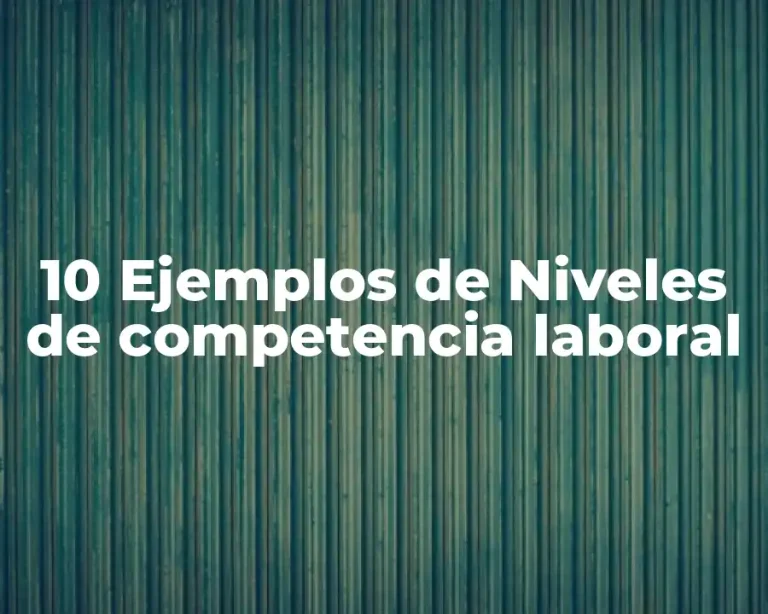 10 Ejemplos de Niveles de competencia laboral