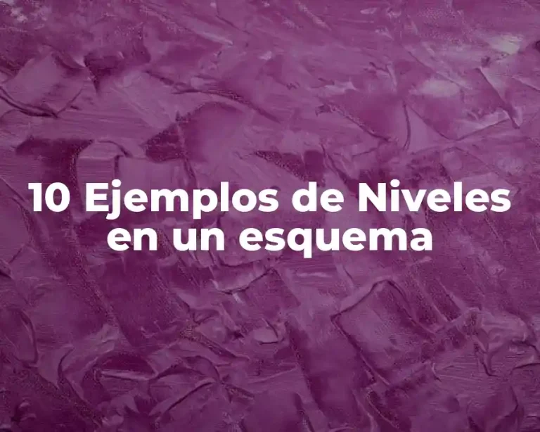 10 Ejemplos de Niveles en un esquema