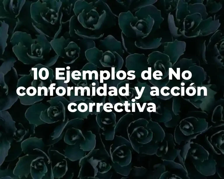 10 Ejemplos de No conformidad y acción correctiva