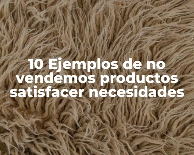 10 Ejemplos de no vendemos productos satisfacer necesidades