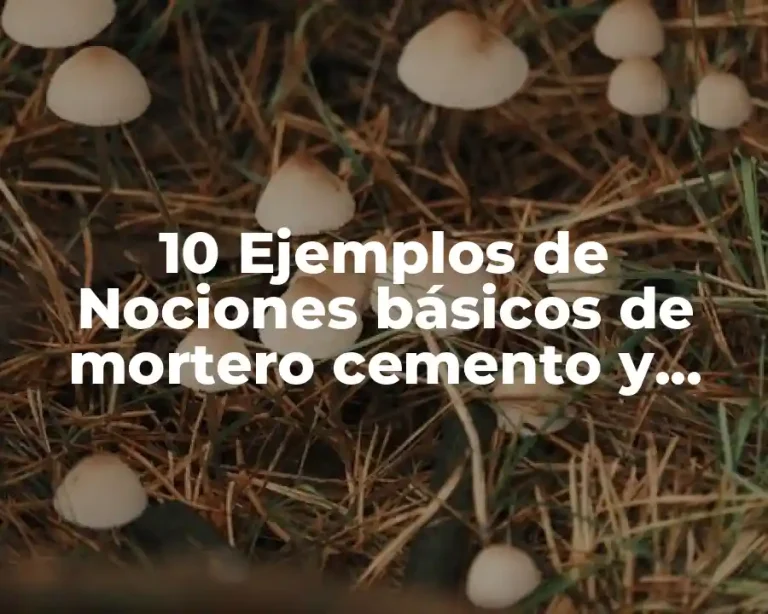 10 Ejemplos de Nociones básicos de mortero cemento y acero