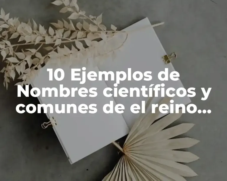 10 Ejemplos de Nombres científicos y comunes de el reino protoctista
