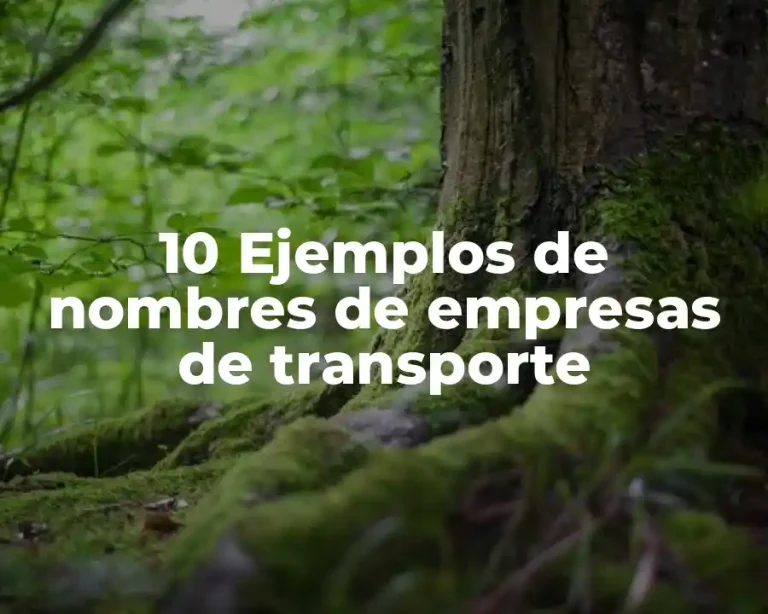 10 Ejemplos de nombres de empresas de transporte