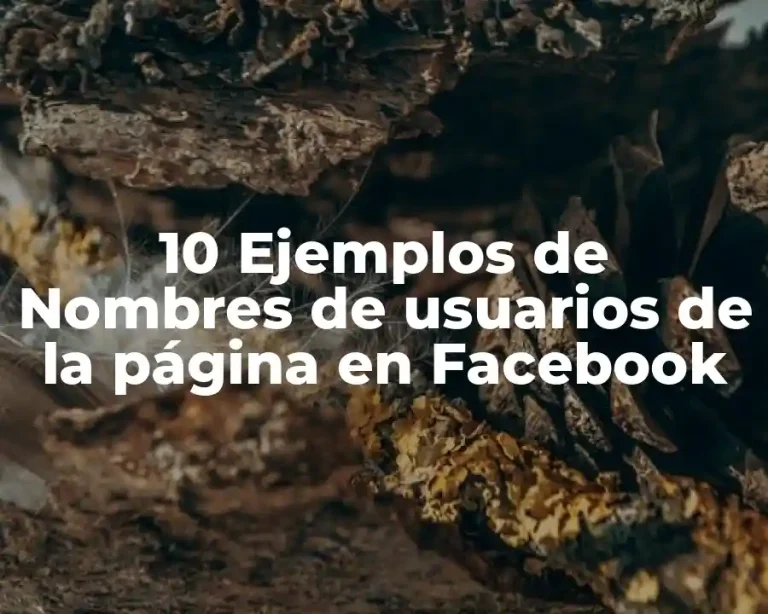 10 Ejemplos de Nombres de usuarios de la página en Facebook