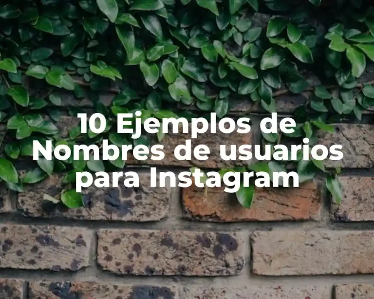 10 Ejemplos de Nombres de usuarios para Instagram