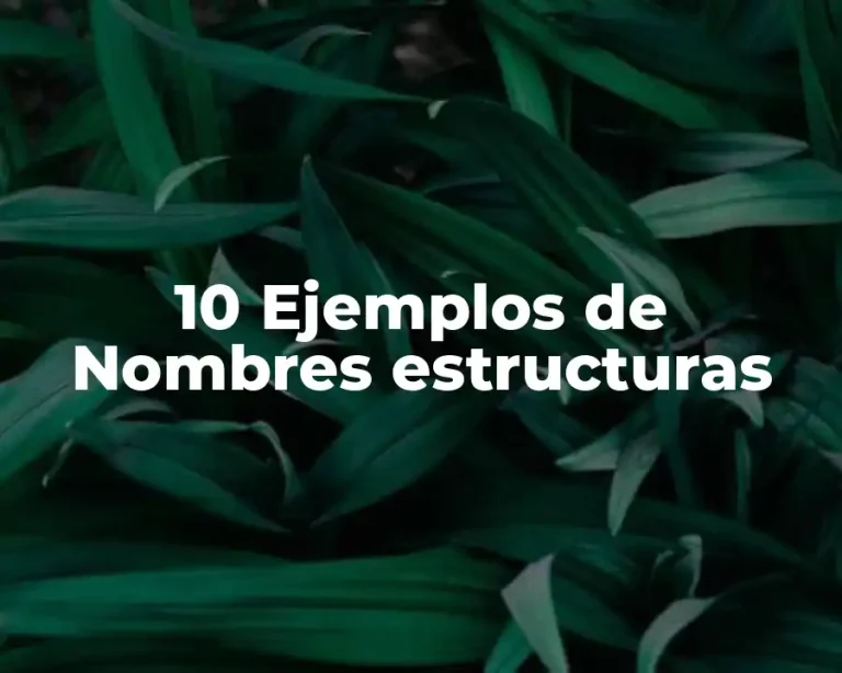 10 Ejemplos de Nombres estructuras