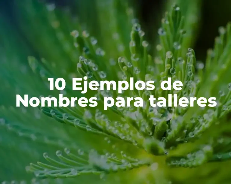 10 Ejemplos de Nombres para talleres
