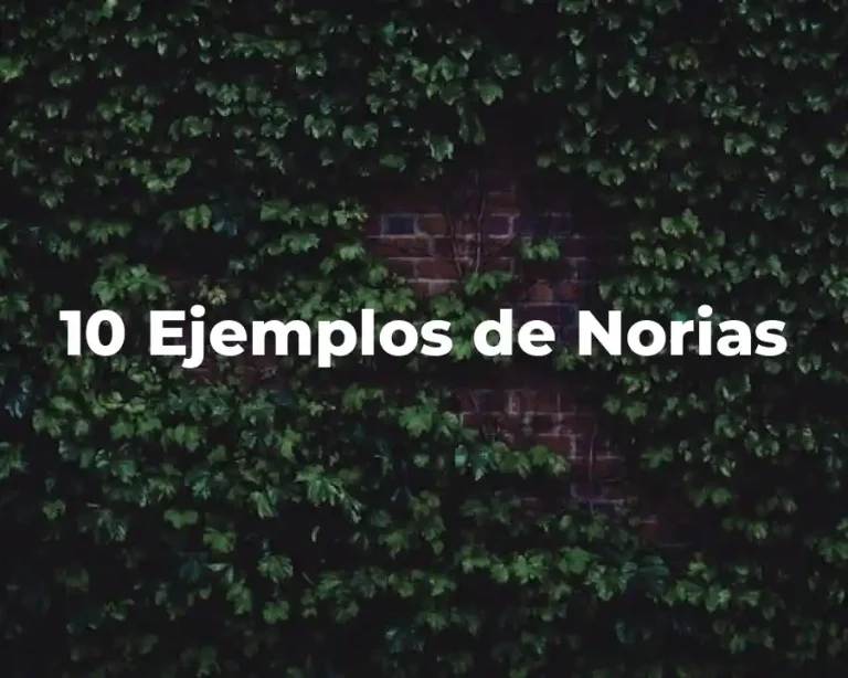 10 Ejemplos de Norias