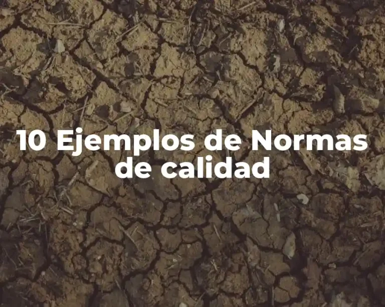 10 Ejemplos de Normas de calidad