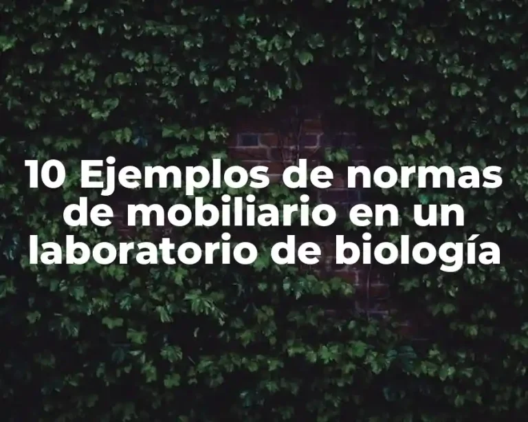 10 Ejemplos de normas de mobiliario en un laboratorio de biología