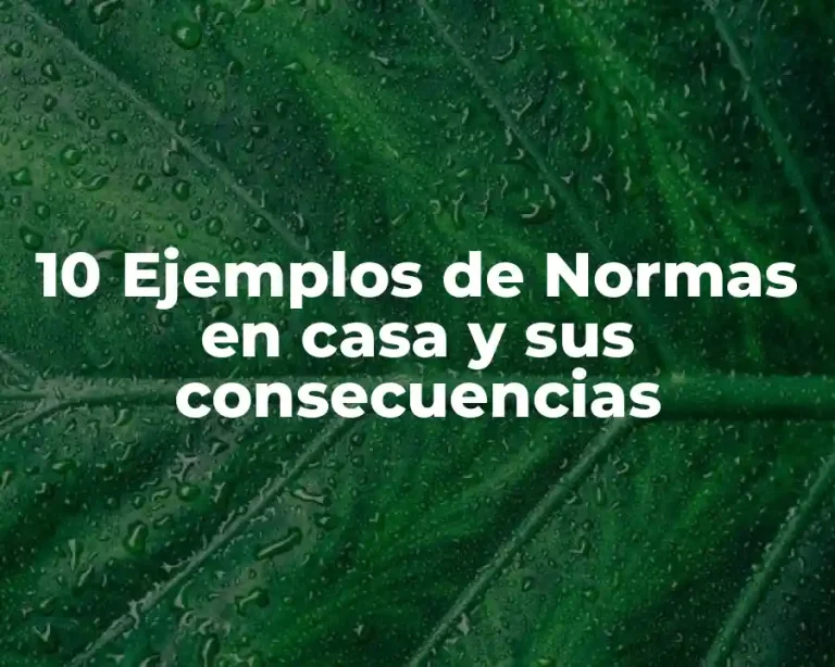 10 Ejemplos de Normas en casa y sus consecuencias