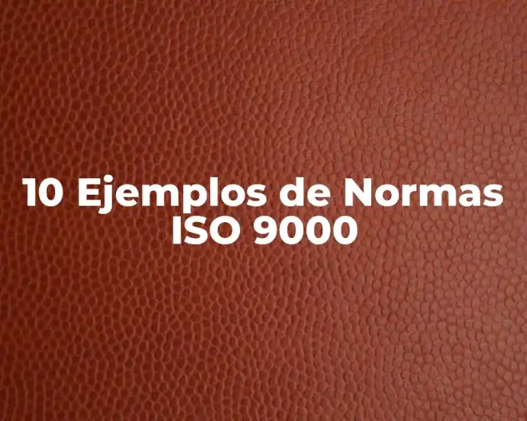 10 Ejemplos de Normas ISO 9000