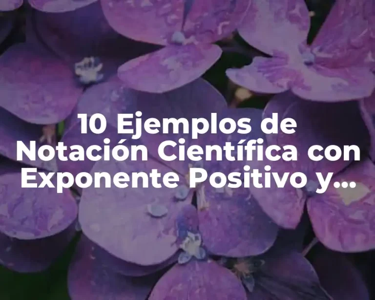 10 Ejemplos de Notación Científica con Exponente Positivo y Negativo