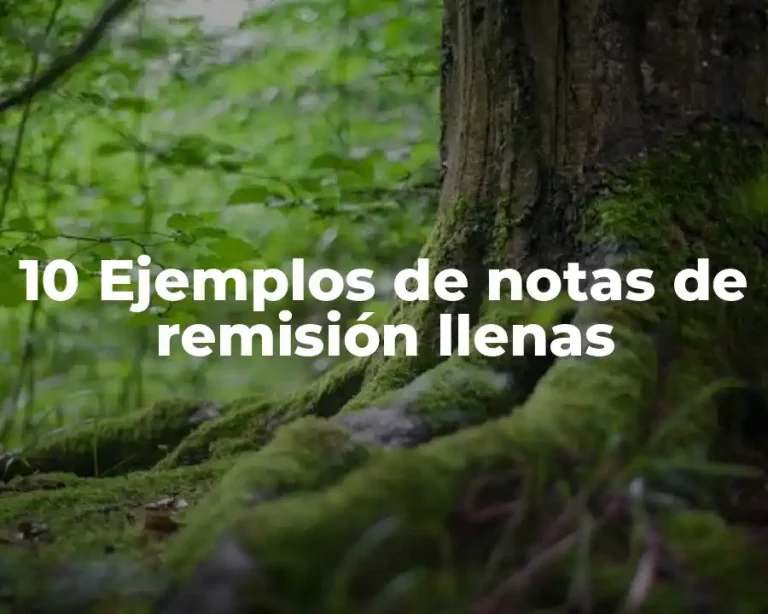 10 Ejemplos de notas de remisión llenas