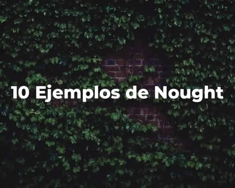 10 Ejemplos de Nought