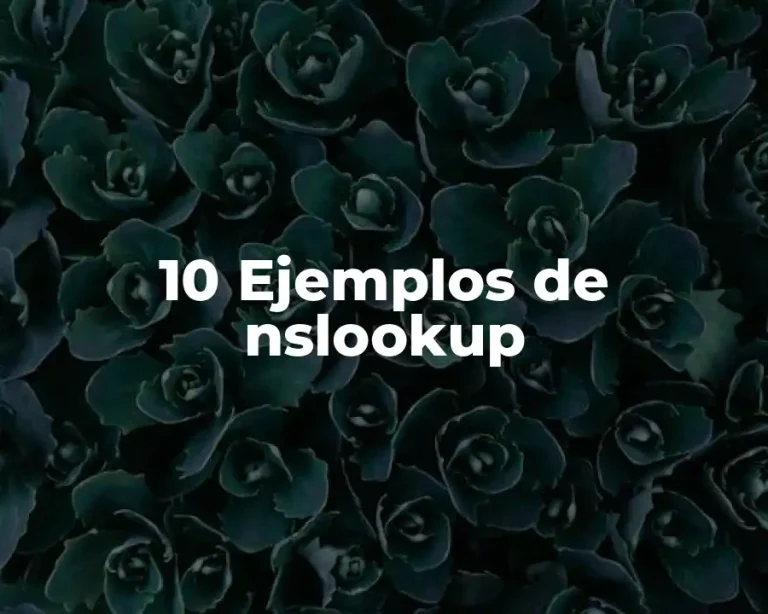 10 Ejemplos de nslookup