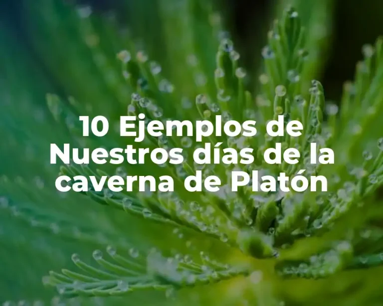 10 Ejemplos de Nuestros días de la caverna de Platón