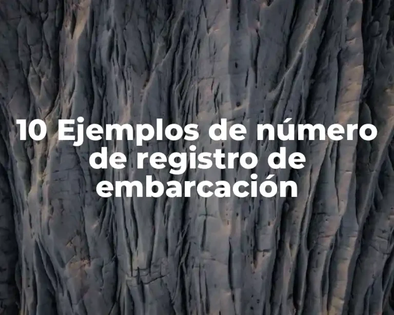 10 Ejemplos de número de registro de embarcación