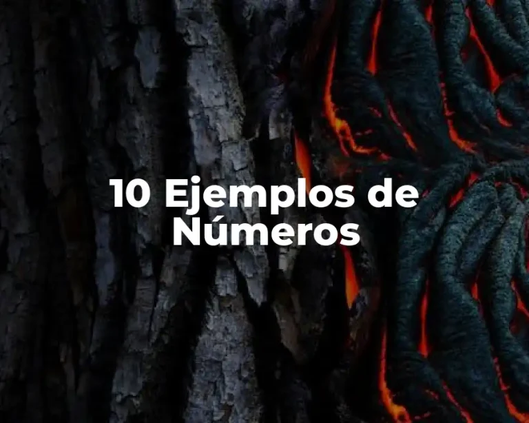 10 Ejemplos de Números