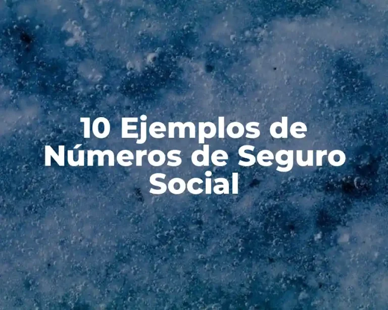 10 Ejemplos de Números de Seguro Social