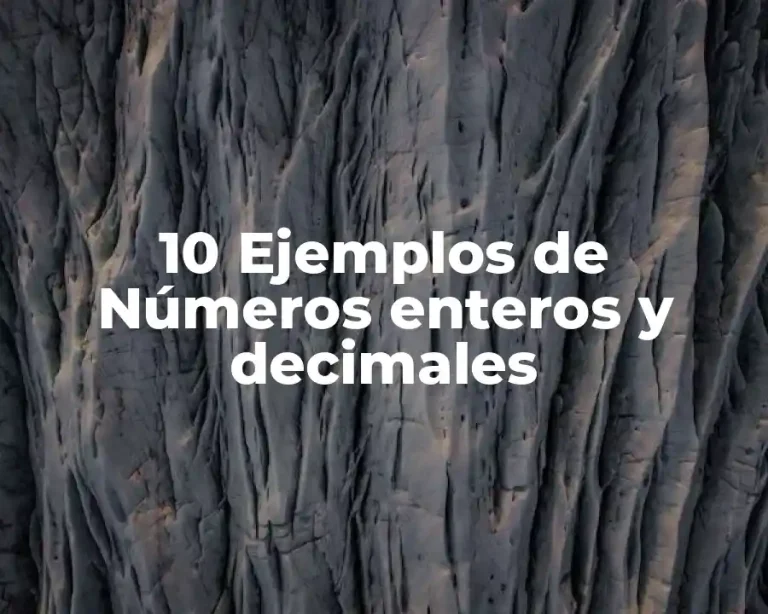 10 Ejemplos de Números enteros y decimales