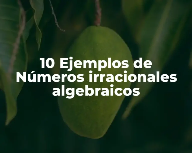 10 Ejemplos de Números irracionales algebraicos