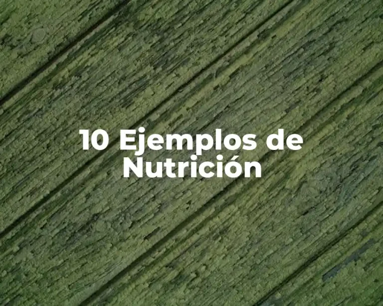 10 Ejemplos de Nutrición