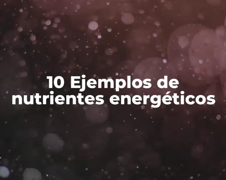 10 Ejemplos de nutrientes energéticos