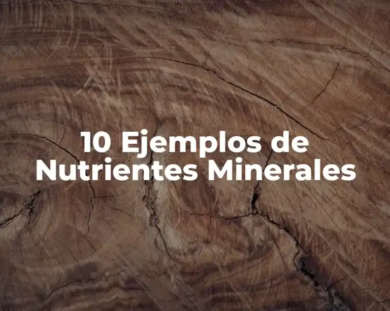 10 Ejemplos de Nutrientes Minerales