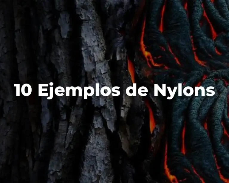 10 Ejemplos de Nylons