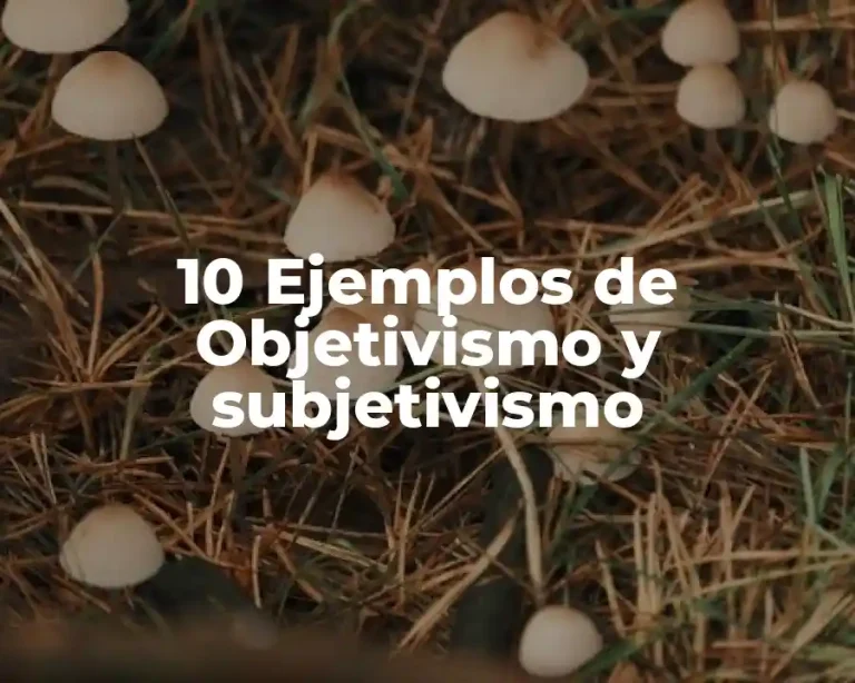 10 Ejemplos de Objetivismo y subjetivismo