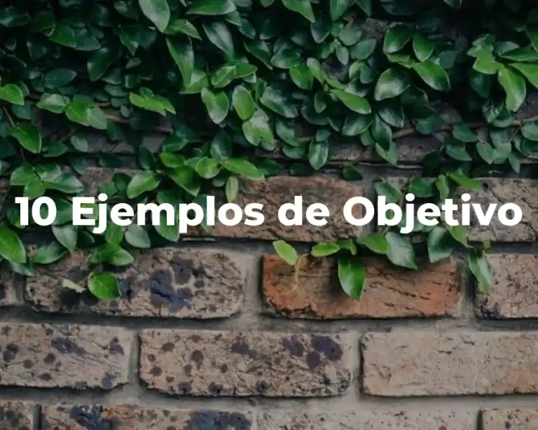 10 Ejemplos de Objetivo