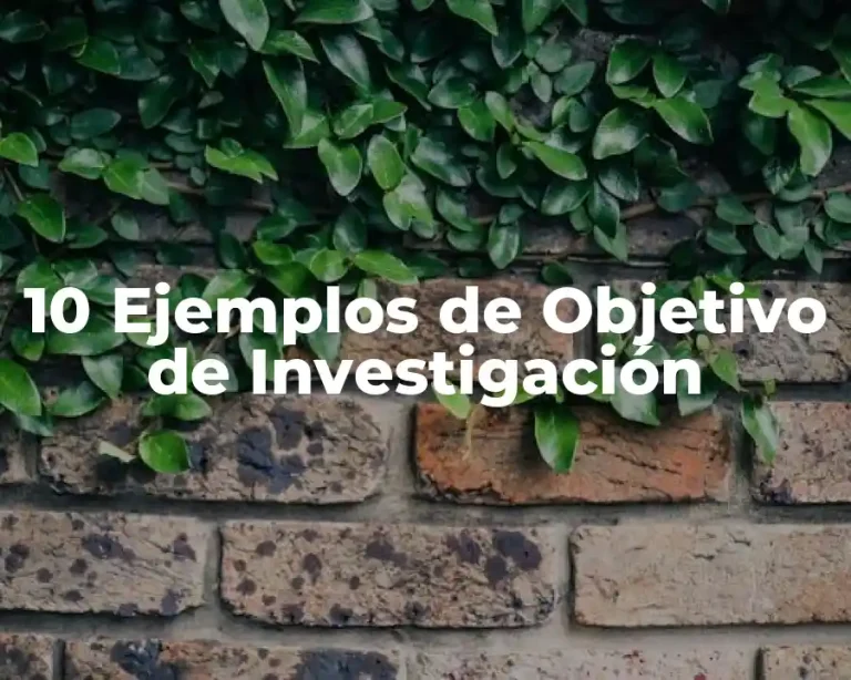 10 Ejemplos de Objetivo de Investigación