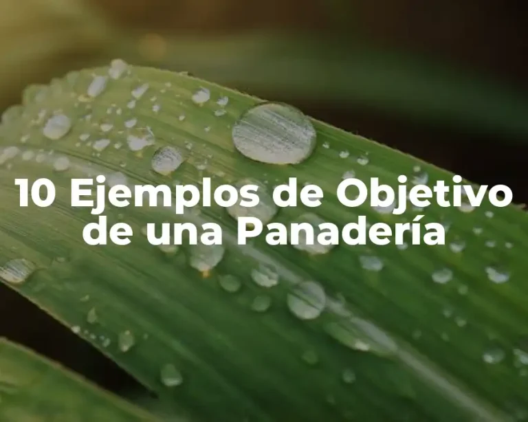 10 Ejemplos de Objetivo de una Panadería