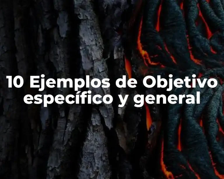 10 Ejemplos de Objetivo específico y general