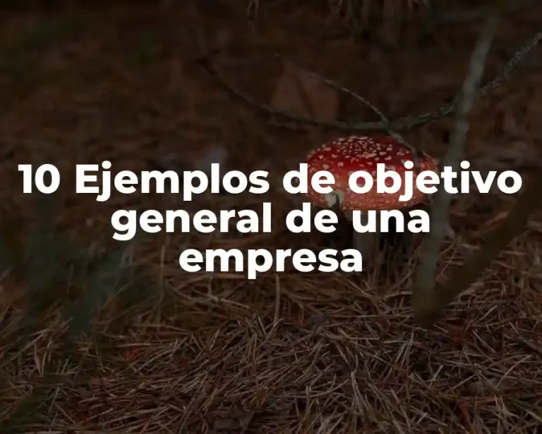 10 Ejemplos de objetivo general de una empresa