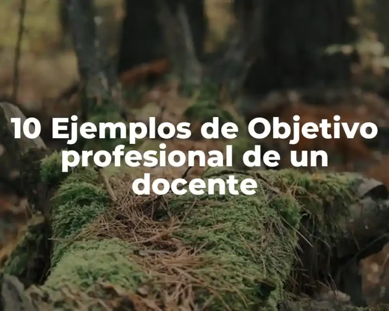 10 Ejemplos de Objetivo profesional de un docente