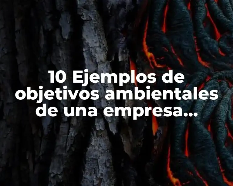 10 Ejemplos de objetivos ambientales de una empresa, Definición, Diferencias y para que sirve