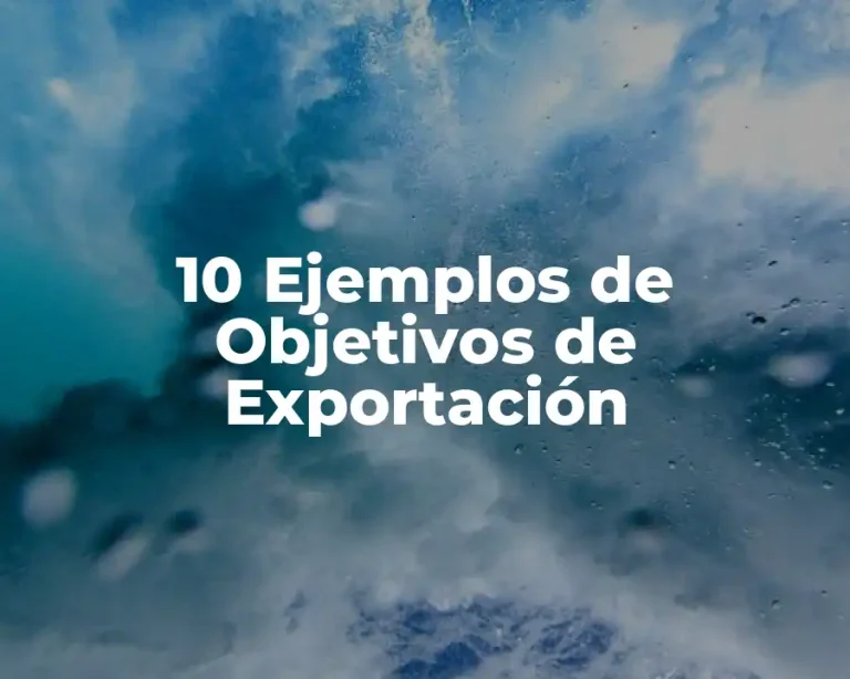 10 Ejemplos de Objetivos de Exportación