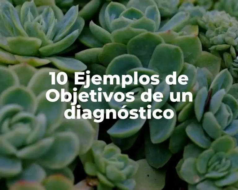10 Ejemplos de Objetivos de un diagnóstico