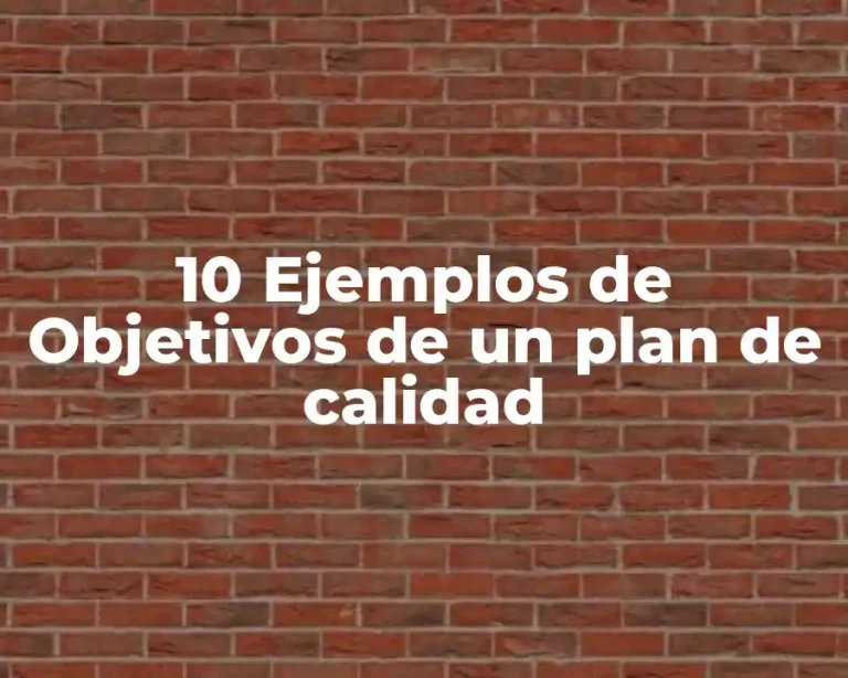 10 Ejemplos de Objetivos de un plan de calidad
