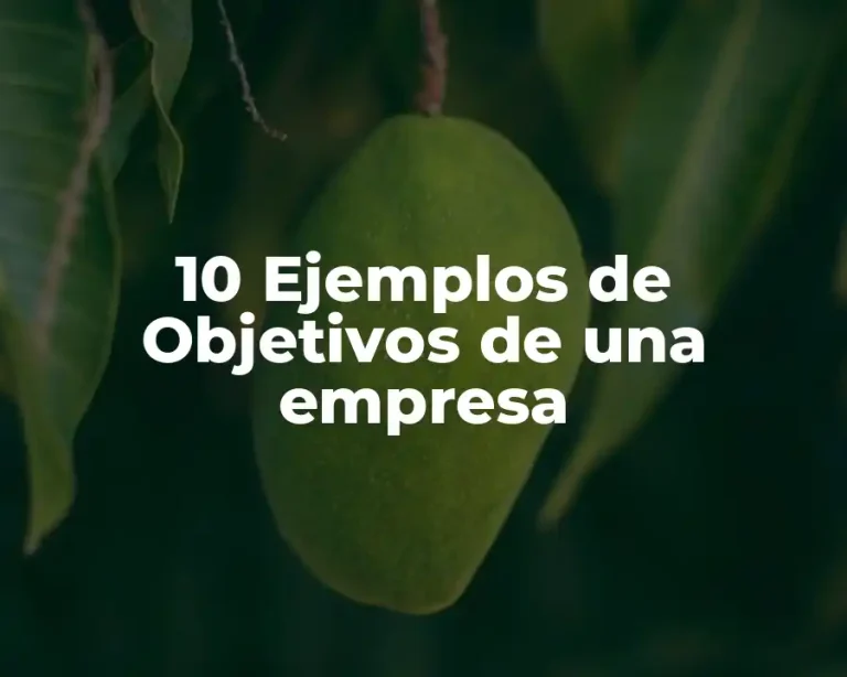 10 Ejemplos de Objetivos de una empresa